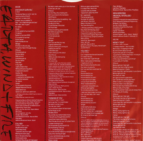 Earth, Wind & Fire : Touch The World (LP, Album)