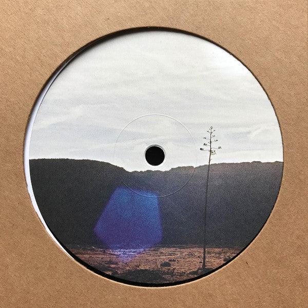 Jakob Seidensticker : After We're All Gone EP (12", EP)