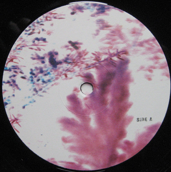Schallbau : Waldeslust (12")