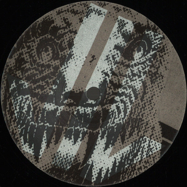 Stereologic : Fuck This Sound / Electric Job (12", RE, RM, RP)