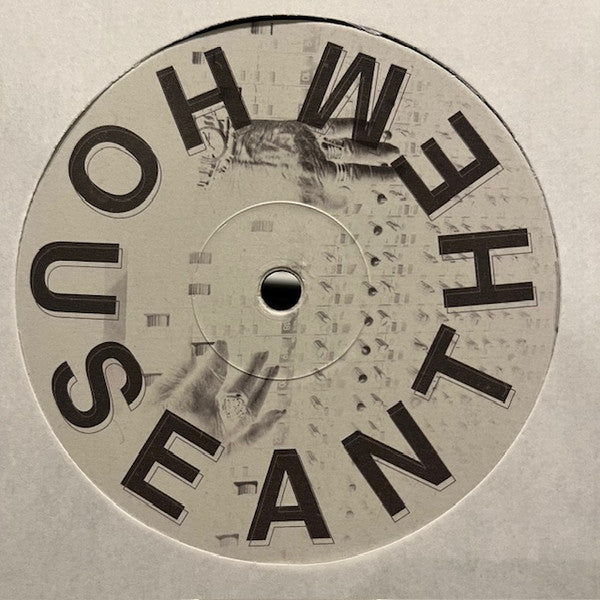 Fabio Monesi : House Anthem (12", Single)