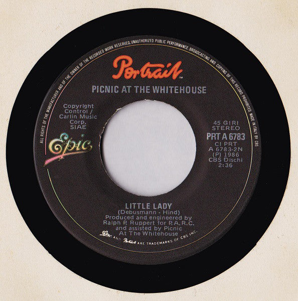 Picnic At The Whitehouse : We Need Protection (7")