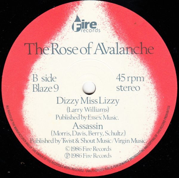 The Rose Of Avalanche : Too Many Castles In The Sky (12", Single)