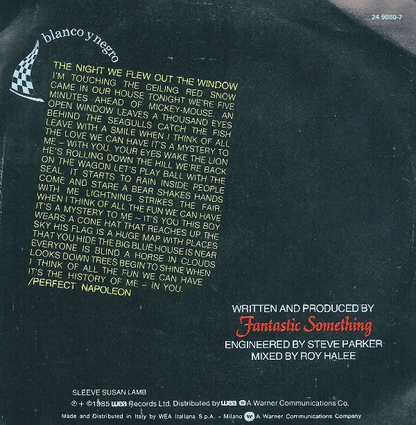 Fantastic Something : The Night We Flew Out The Window (7")