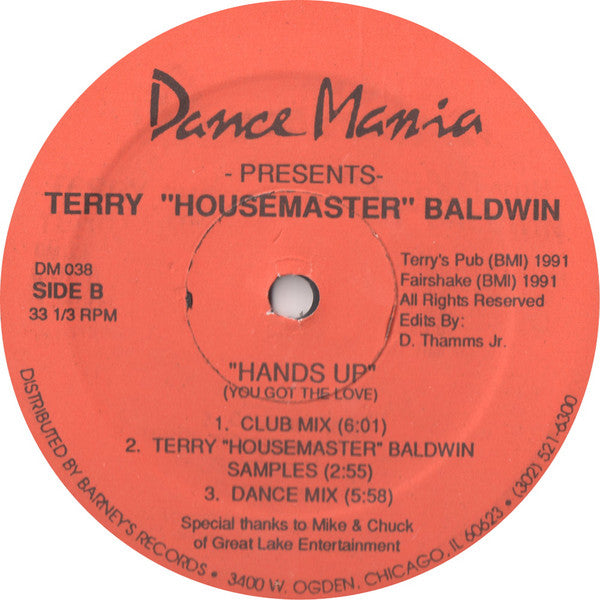 Terry Baldwin : The Bitch Is Naggin Me / Hands Up (You Got The Love) (12")