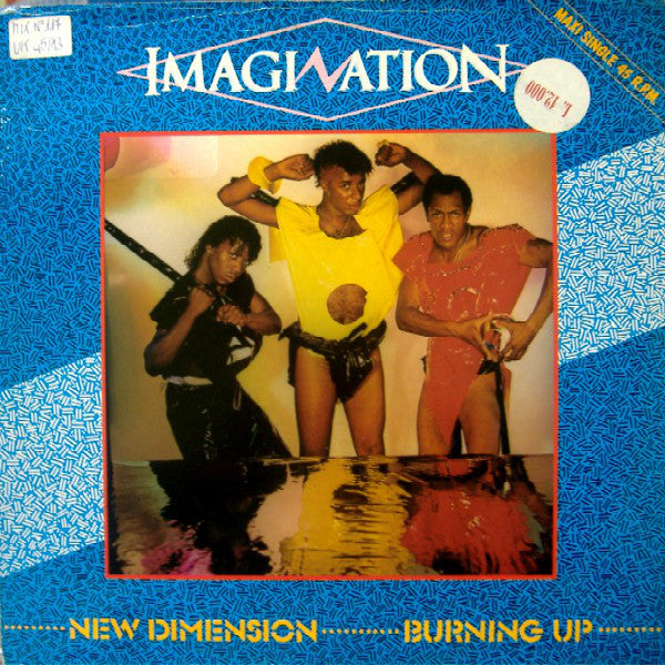 Imagination : New Dimension (Electro Mix) (12", Maxi)