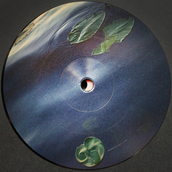 FJAAK : Havel (2x12", Album)