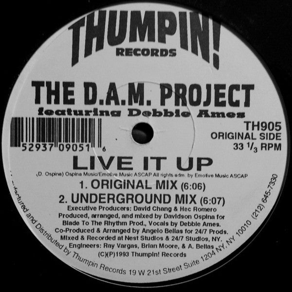 The D.A.M. Project Featuring Debbie Ames : Live It Up (12")