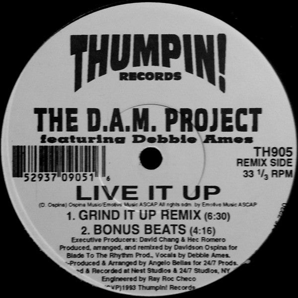 The D.A.M. Project Featuring Debbie Ames : Live It Up (12")