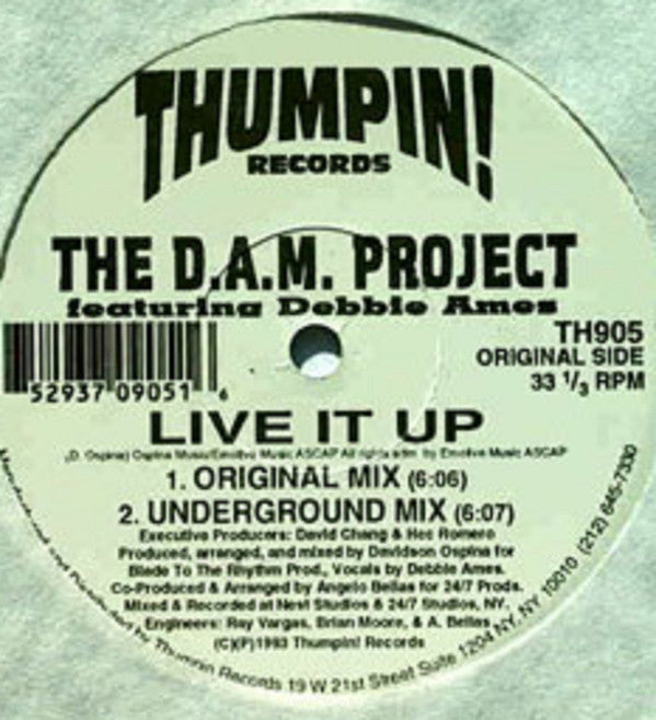 The D.A.M. Project Featuring Debbie Ames : Live It Up (12")