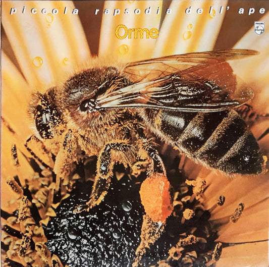 Orme* : Piccola Rapsodia Dell'Ape (LP, Album, Gat)