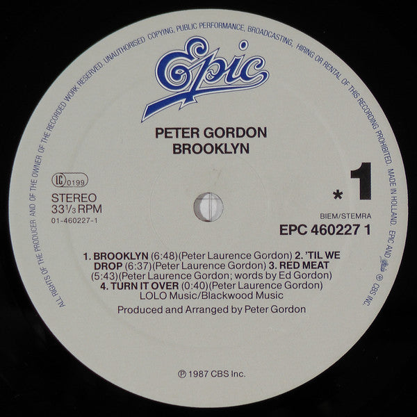 Peter Gordon : Brooklyn (LP, Album)
