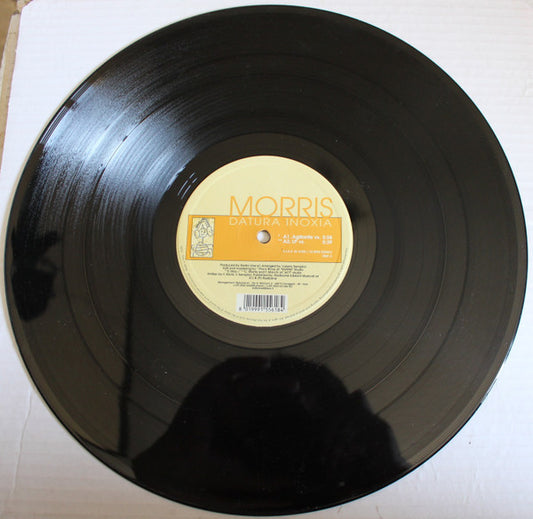 Morris (56) : Datura Inoxia (12")