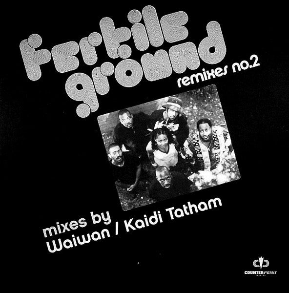 Fertile Ground : Remixes No. 2 (12")