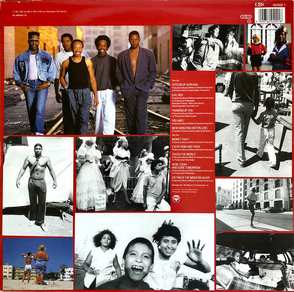 Earth, Wind & Fire : Touch The World (LP, Album)