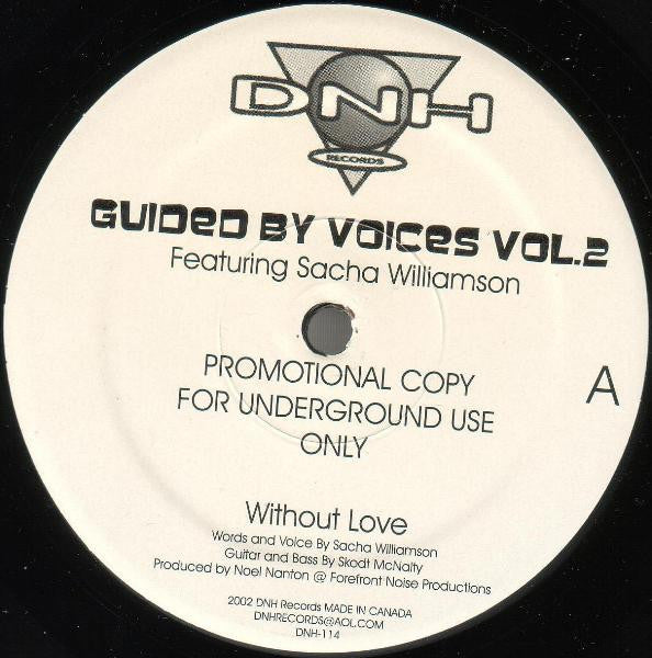 Noel Nanton Featuring Sacha Williamson : Guided By Voices Vol.2 (12", Promo)