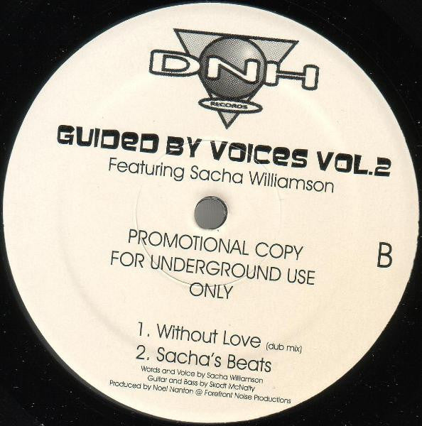 Noel Nanton Featuring Sacha Williamson : Guided By Voices Vol.2 (12", Promo)