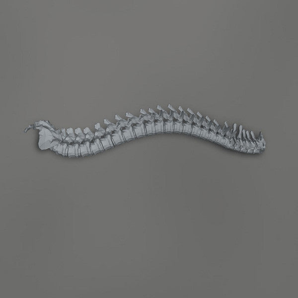 Kill Memory Crash : When The Blood Turns Black (CD)