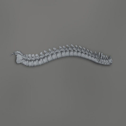 Kill Memory Crash : When The Blood Turns Black (CD)