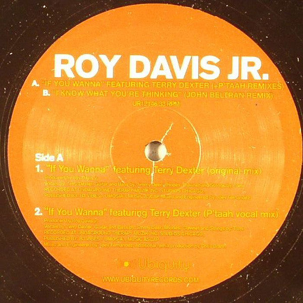 Roy Davis Jr. : If You Wanna / I Know What You're Thinking (12")