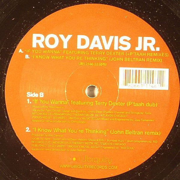 Roy Davis Jr. : If You Wanna / I Know What You're Thinking (12")