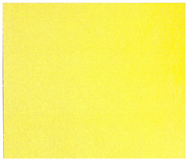 Tons : Hashension (CD, Album)