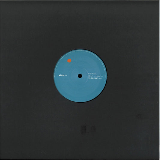Data Memory Access, DJ Tjizza, Shaque : PICNIC005 EP (12", EP)