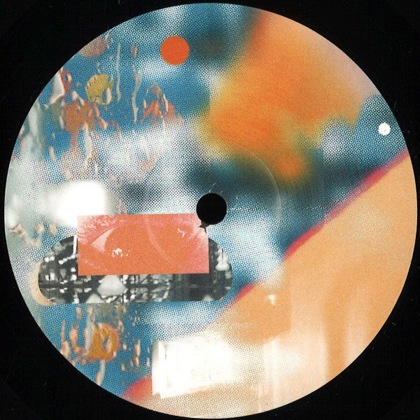 Data Memory Access, DJ Tjizza, Shaque : PICNIC005 EP (12", EP)