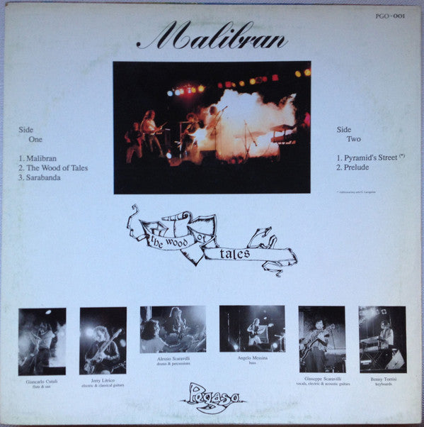 Malibran : The Wood Of Tales (LP, Album, Gre)