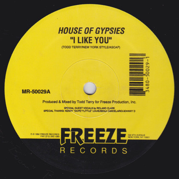 House Of Gypsies : I Like You / Makossa (12")