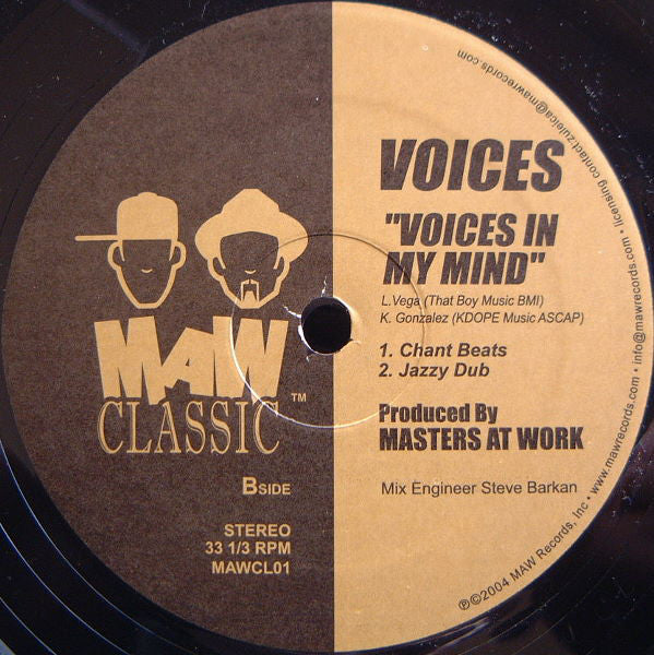 Voices : Voices In My Mind (12")