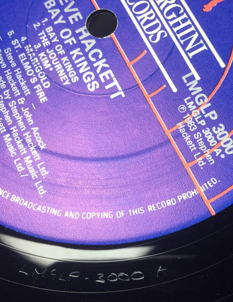 Steve Hackett : Bay Of Kings (LP, Album)