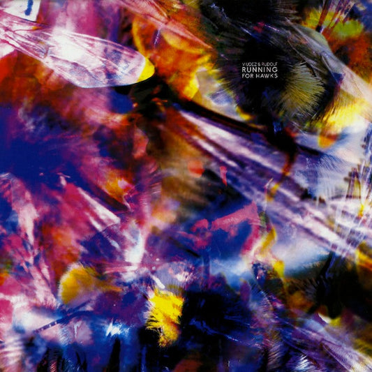 Viudez & Rudolf : Running For Hawks (12")
