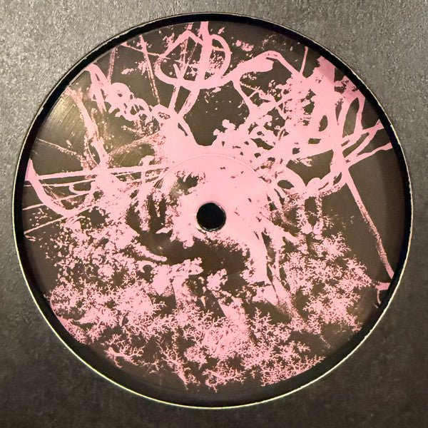 SY (2) : Metamorphosis EP (12", EP)