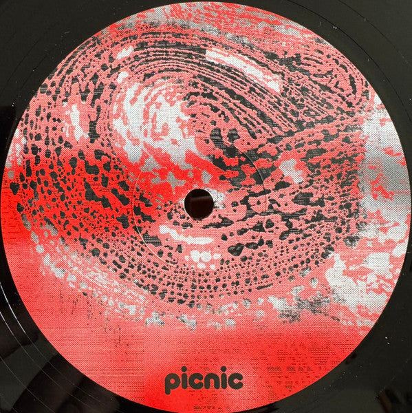 Shkedul : PICNIC010 (12", EP)
