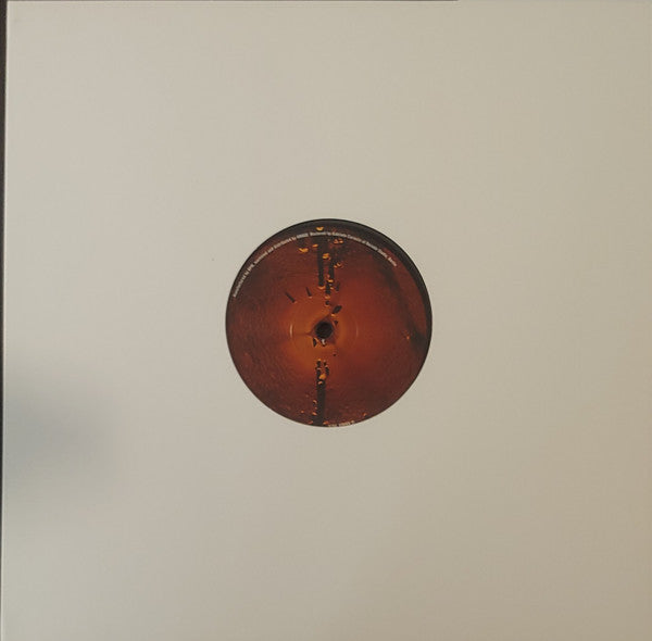 Existencia Pasajera : PRZ10ten (12")