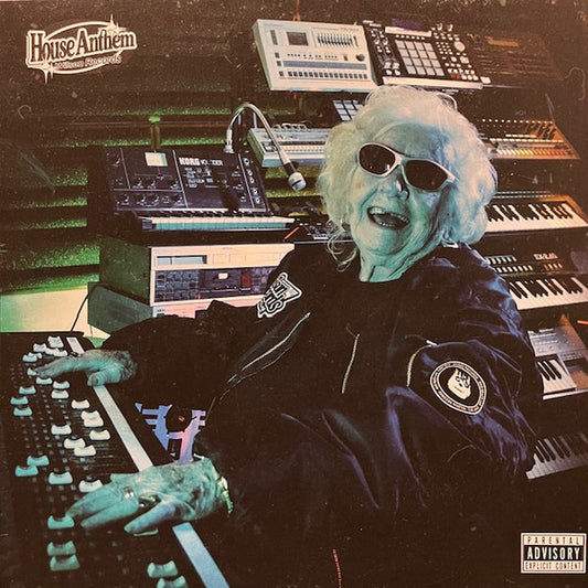 Fabio Monesi : House Anthem (12", Single)