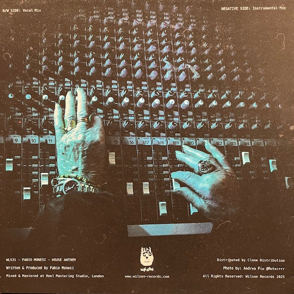 Fabio Monesi : House Anthem (12", Single)