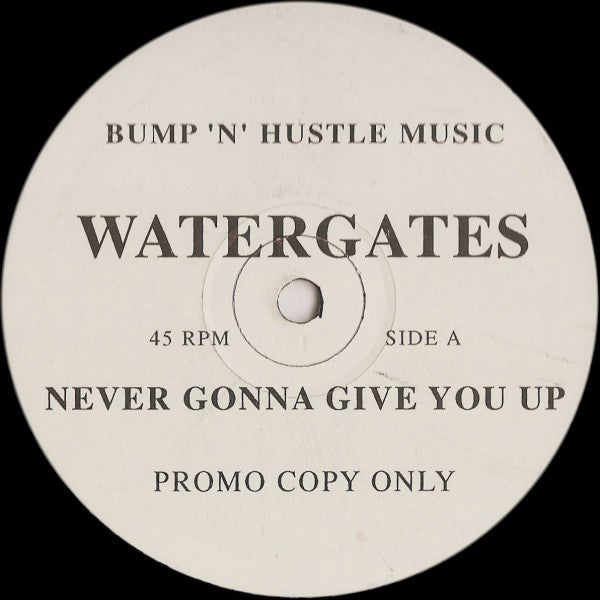 Watergates : Never Gonna Give You Up (12", Promo)