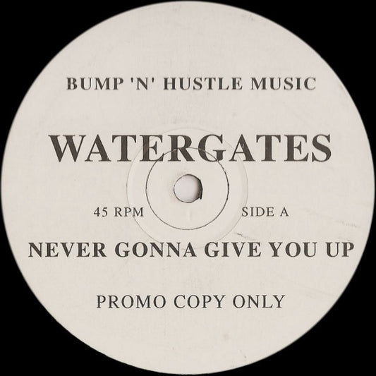 Watergates : Never Gonna Give You Up (12", Promo)