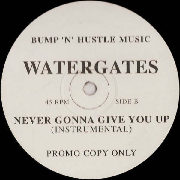 Watergates : Never Gonna Give You Up (12", Promo)