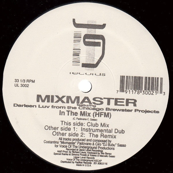 Mixmaster (2) Featuring Darleen Luv : In The Mix (12")