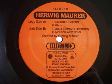 Herwig Maurer : Electric Unicorn (12")