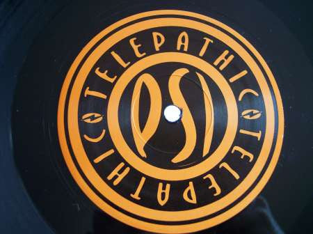 Herwig Maurer : Electric Unicorn (12")