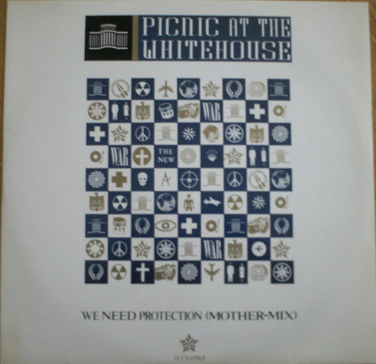 Picnic At The Whitehouse : We Need Protection (Mother Mix) (12")