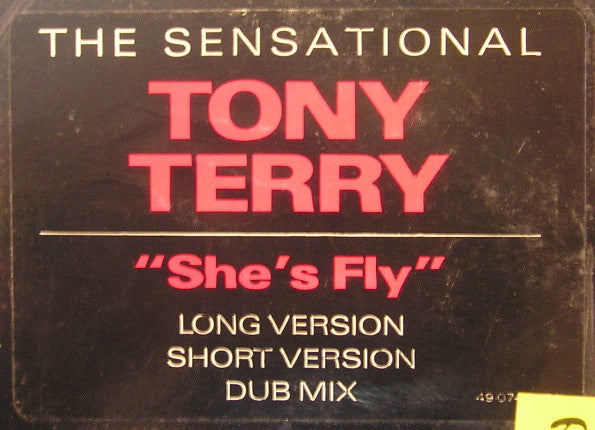 Tony Terry : She's Fly (12")