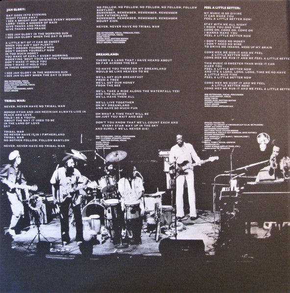 Third World : 96° In The Shade (LP, Album)