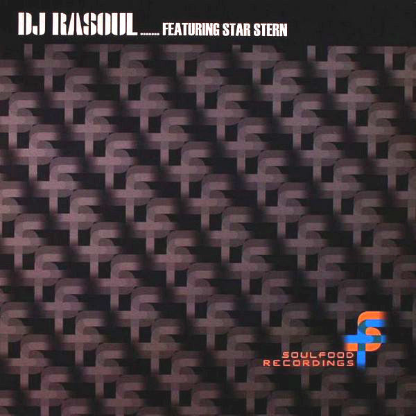 DJ Rasoul Featuring Star Stern : Reality (Remix) (12")
