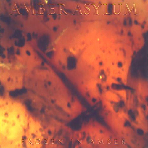 Amber Asylum : Frozen In Amber (LP, Album, Ltd)