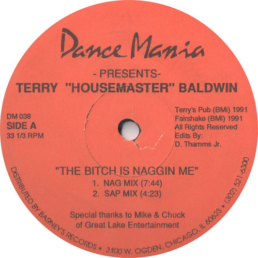 Terry Baldwin : The Bitch Is Naggin Me / Hands Up (You Got The Love) (12")